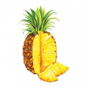 ananas_350x350 Сироп PROFF Ананас 1 л — изображение 1