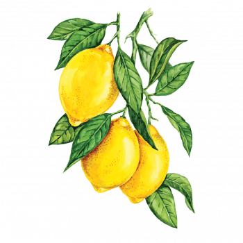 limon_350x350 Сироп PROFF Лимон 1 л — изображение 1