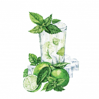 mojito_350x350 Сироп PROFF Мохито ментол 1 л — изображение 1